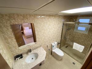 锡卜Diamond Star Hotel فندق النجمة الماسية的一间带水槽、卫生间和淋浴的浴室
