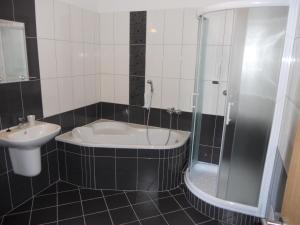 班斯卡-比斯特里察马多娜汽车旅馆的带浴缸和盥洗盆的浴室