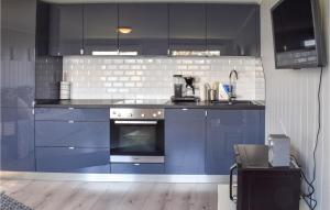 FiltvetStunning Home In Filtvet With Kitchen的厨房配有蓝色橱柜和烤箱