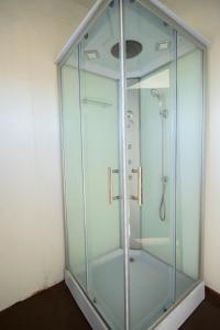 普诺TITICACA FLAMENCO LODGE的一间客房内的玻璃淋浴间