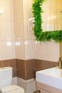 康斯坦察普利米尔旅馆的一间带卫生间、水槽和镜子的浴室