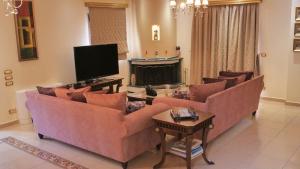 卡拉瓦杜斯Villa Omega Kefalonia的带沙发和平面电视的客厅