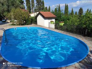 鲍希茨Mio Lux的院子里的大型蓝色游泳池