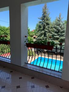 乌日霍罗德Eduard Hotel的阳台享有游泳池的景致。