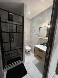 尚帕尼奥勒Appartement haut de gamme avec Jacuzzi Champagnole的带淋浴、卫生间和盥洗盆的浴室