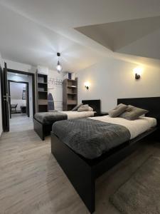 尚帕尼奥勒Appartement haut de gamme avec Jacuzzi Champagnole的一间卧室,配有两张床