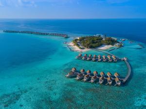 北马累环礁马尔代夫盛泰乐拉富士岛的海洋度假胜地的空中景观