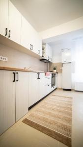 雅西Ballade Apartment的一间空厨房,里面装有白色的橱柜和地毯
