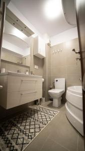 雅西Ballade Apartment的浴室配有盥洗池、卫生间和镜子。