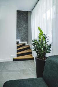 日利纳beauty bar concept的一间带楼梯和盆栽的客厅