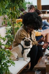 吉尔斯Selina Gerês的和狗一起坐在长凳上的女人