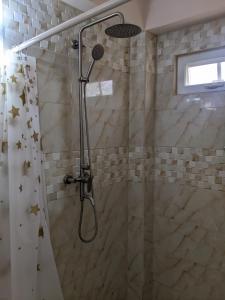 Carnbee VillageSkyland Oasis的浴室内配有淋浴和头顶淋浴