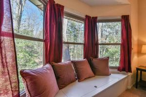 阿什维尔The Camby Cabin just 12 miles to downtown Asheville的靠窗前的沙发,带红色窗帘