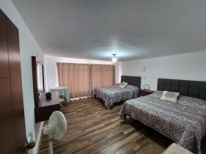 萨卡特卡斯depa #5 recién remodelado en planta alta的酒店客房配有两张床和风扇