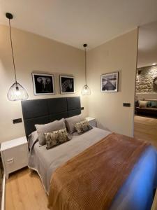 阿维莱斯Apartamentos Rosa La Bonita的一间卧室配有一张大床和两个枕头