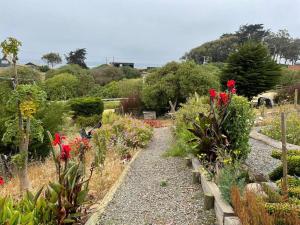 皮奇勒姆Amplia casa frente al mar, camino a Punta de Lobos的山坡上种有鲜花和植物的花园