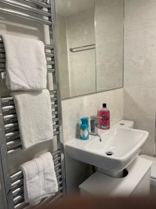 爱丁堡Newbuild - 3 bedrooms, 2 baths,5 mins from airport的浴室配有盥洗盆、镜子和毛巾