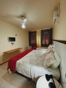 伦索伊斯Pousada da Villa的一间卧室配有一张床、一张书桌和一台电视
