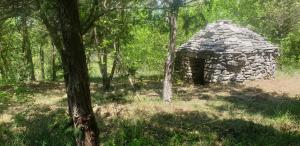 DivšićiVilla Valeria的森林中间的一座古老的石头建筑