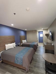 阿兰瑟斯帕斯Holiday Inn motel的酒店客房设有两张床和一台平面电视。