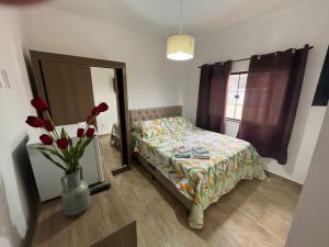 蒂拉登特斯Pouso Primavera的一间卧室配有一张床、镜子和花瓶