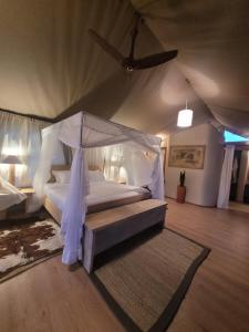 塔勒克Mara Maisha Camp的一间卧室配有一张带吊扇的床