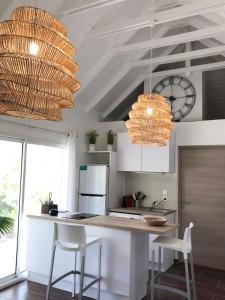 Oyster PondSTUDIO COSY LES FRANGIPANNIERS的厨房设有天花板吊灯。