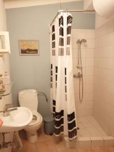 埃雷索斯Arcadia Eressos的带淋浴、卫生间和盥洗盆的浴室