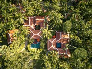 湄南海滩Santiburi Koh Samui的棕榈树度假村的空中景致
