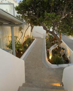 圣斯特凡诺斯Zisis Pension的树和一些植物的楼梯