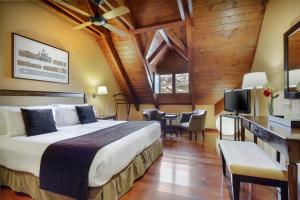 福米加尔萨列乔酒店的酒店客房设有一张大床和一台电视。