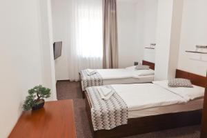 纳梅斯托沃Hotel Slanica的一间设有两张床和一张桌子的房间