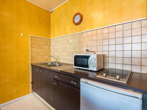拉卡诺奥肯Apartment Les Océanides-9 by Interhome的厨房配有微波炉和水槽