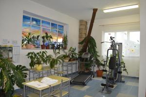 Bakov nad JizerouFamozclub的一间种植了盆栽植物的房间和一个健身房