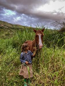 查查波亚斯Hotel Fundo Achamaqui的站在野外棕色马旁的小女孩