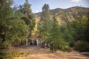 克恩维尔Quiet Mind Lodge, Spa & Retreat Sequoias的森林中央的凉亭