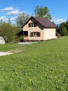 BorzontBükkfői vendégház的一片绿草丛和房子的房子