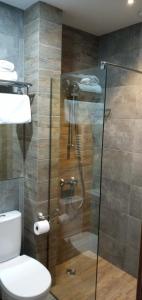 卡兹贝吉Hilltop Kazbegi的一间带卫生间和玻璃淋浴间的浴室
