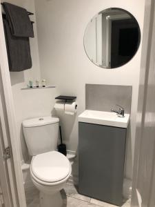 新港Exclusive Modern decorated 1 Bedroom Detached Studio的一间带卫生间、水槽和镜子的浴室