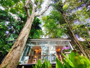 Ban Pak YangRain Forest Resort的森林中有一棵大树的房子