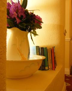 肯梅尔德鲁伊小屋住宿加早餐旅馆的书架上的花瓶
