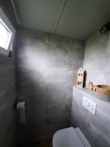PoppingawierVakantiehuisjes Marsherne的一间带卫生间和窗户的小浴室
