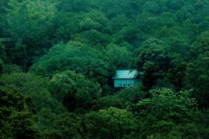 维特利Wayanad Wild - Rainforest Lodge by CGH Earth的相册照片
