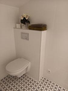 斯伽尔达Rožu iela的白色的浴室设有卫生间和架子。