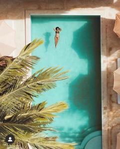 瓦塔穆Palm Garden Boutique Hotel的水中一幅画,画着一棵棕榈树