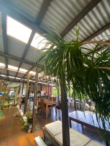 座间味村ゲストハウス303的温室,有桌子和盆栽植物