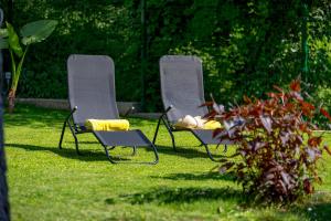 萨格勒布RIKI'S APARTMENT-ZAGREB的两把椅子坐在院子里的草地上