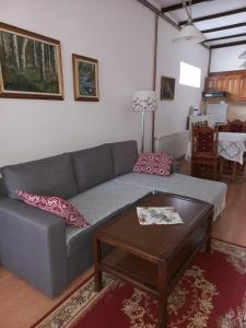 索科矿泉村Gala的带沙发和咖啡桌的客厅