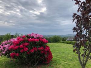 The Cottage, near Glasgow Milngavie外面的花园