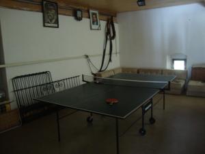佩特罗维斯基米林旅馆内部或周边的乒乓球设施